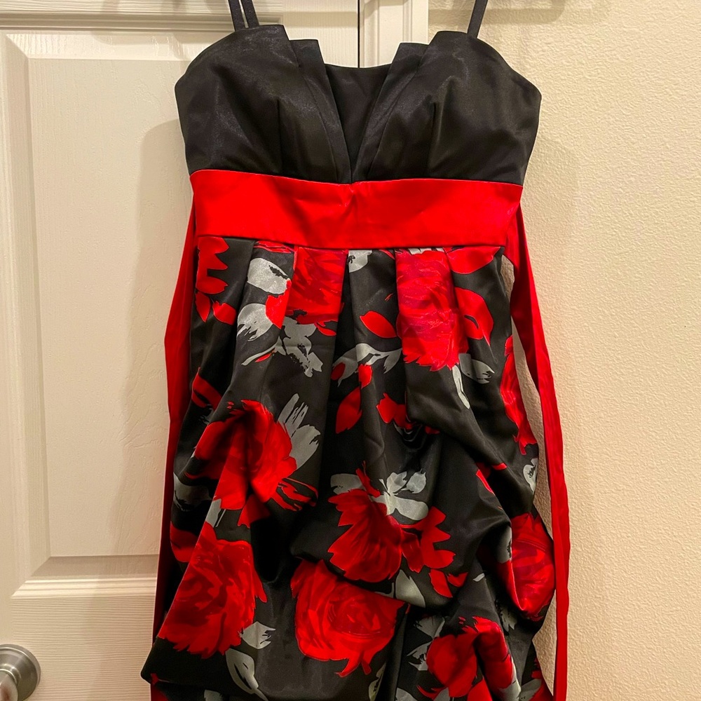 Red & Black Rose holiday prom homecoming cocktail dress